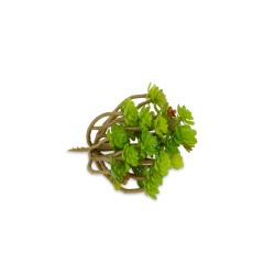 Añade un toque verde sin preocuparte por el riego con esta suculenta artificial, su diseño realista y acabado detallado la hacen