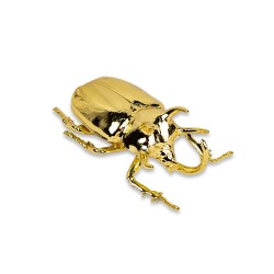 Inspírate con el simbolismo y estilo de este escarabajo decorativo. Su diseño detallado y acabado metálico lo convierten en una 