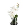Lleva la sofisticación natural a tu hogar con este Arreglo de Orquídea Artificial. Su diseño realista, con pétalos delicados y f