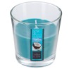 Llena tu espacio de calidez y frescura con esta vela aromática Nina de 90 gramos. Su fragancia dulce y tropical a coco crea un a