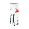 Embellece tu espacio con el florero de vidrio Flora de 26 cm de Atmosphera. De color transparente y fabricado en vidrio, este fl