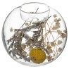 Añade un toque poético y romántico a tu hogar con la portavela folk. su Delicada bola de cristal alberga una cuidada selección d