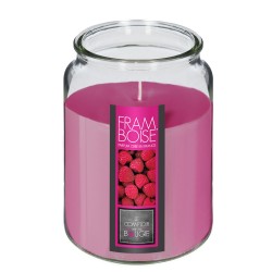 Llena tus espacios con una fragancia fresca y frutal gracias a la Vela Aromática Nina de 510g. Su exquisito aroma a frambuesa ap