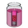 Llena tus espacios con una fragancia fresca y frutal gracias a la Vela Aromática Nina de 510g. Su exquisito aroma a frambuesa ap