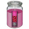 Llena tus espacios con una fragancia fresca y frutal gracias a la Vela Aromática Nina de 510g. Su exquisito aroma a frambuesa ap