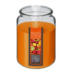 Llena tu hogar de una energía tropical y refrescante con la Vela Aromática Nina de 510g. Su vibrante aroma a frutas exóticas tra
