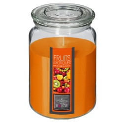 Llena tu hogar de una energía tropical y refrescante con la Vela Aromática Nina de 510g. Su vibrante aroma a frutas exóticas tra