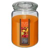 Llena tu hogar de una energía tropical y refrescante con la Vela Aromática Nina de 510g. Su vibrante aroma a frutas exóticas tra