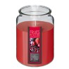 Envuelve tus espacios con el delicioso y dulce aroma a frutos rojos de la Vela Aromática Nina de 510g. Ideal para crear un ambie