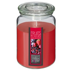 Envuelve tus espacios con el delicioso y dulce aroma a frutos rojos de la Vela Aromática Nina de 510g. Ideal para crear un ambie