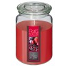 Envuelve tus espacios con el delicioso y dulce aroma a frutos rojos de la Vela Aromática Nina de 510g. Ideal para crear un ambie