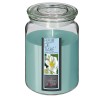 la vela aromática niña grande flor de tiare es ideal para añadir un toque de frescura y elegancia a tu espacio. Con cera celeste