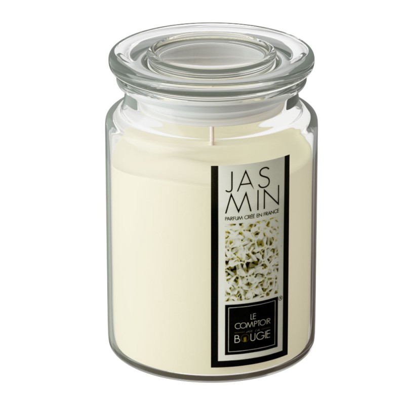 Disfruta de una atmósfera relajante y floral con la Vela Aromática Nina de 510g, diseñada para llenar tu hogar con el delicado y