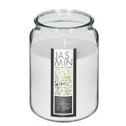 Disfruta de una atmósfera relajante y floral con la Vela Aromática Nina de 510g, diseñada para llenar tu hogar con el delicado y