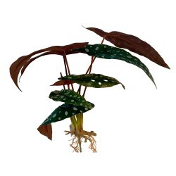 Planta artificial que se pueden aplicar a varios lugares, como oficinas, salas de estar y algunos lugares con luz insuficiente. 