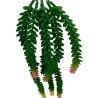 Combine con otras plantas decorativas para agregar vegetación para jarrones o utilizar plantas colgantes artificiales individual