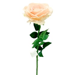 Vara de rosa textura de alta calidad, diseñada para decorar y dar vida a cualquier espacio