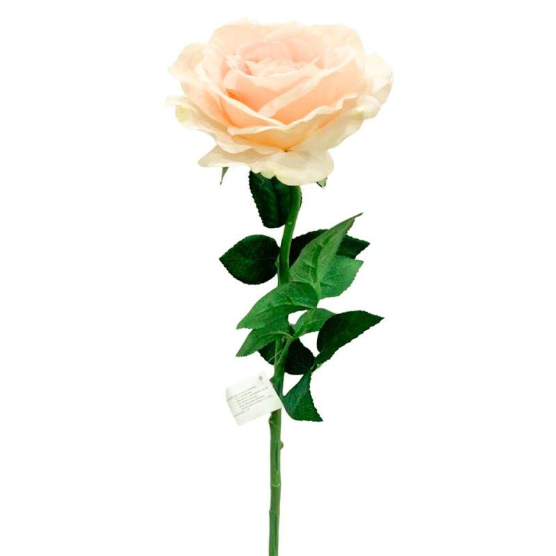 Vara de rosa textura de alta calidad, diseñada para decorar y dar vida a cualquier espacio