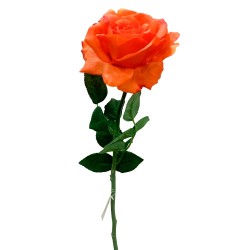 Vara de rosa textura de alta calidad, diseñada para decorar y dar vida a cualquier espacio