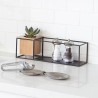 Estante minimalista y jardinera de pared. Una taza multifuncional para suculentas y flores. La repisa extraíble facilita la acom